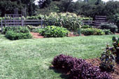 Z�lds�geskert m�sk�ppen - a kert v�g�ben csatlakozik a gyepfel�lethez